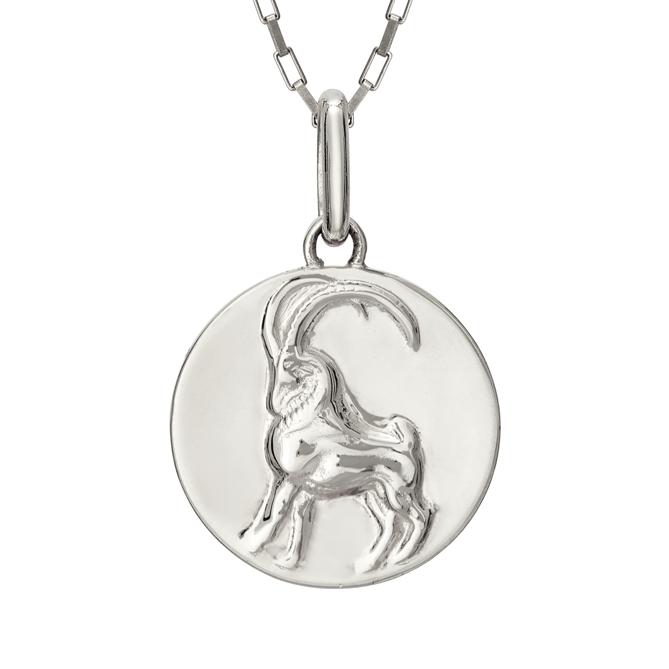 capricorn coin pendant necklace // silver