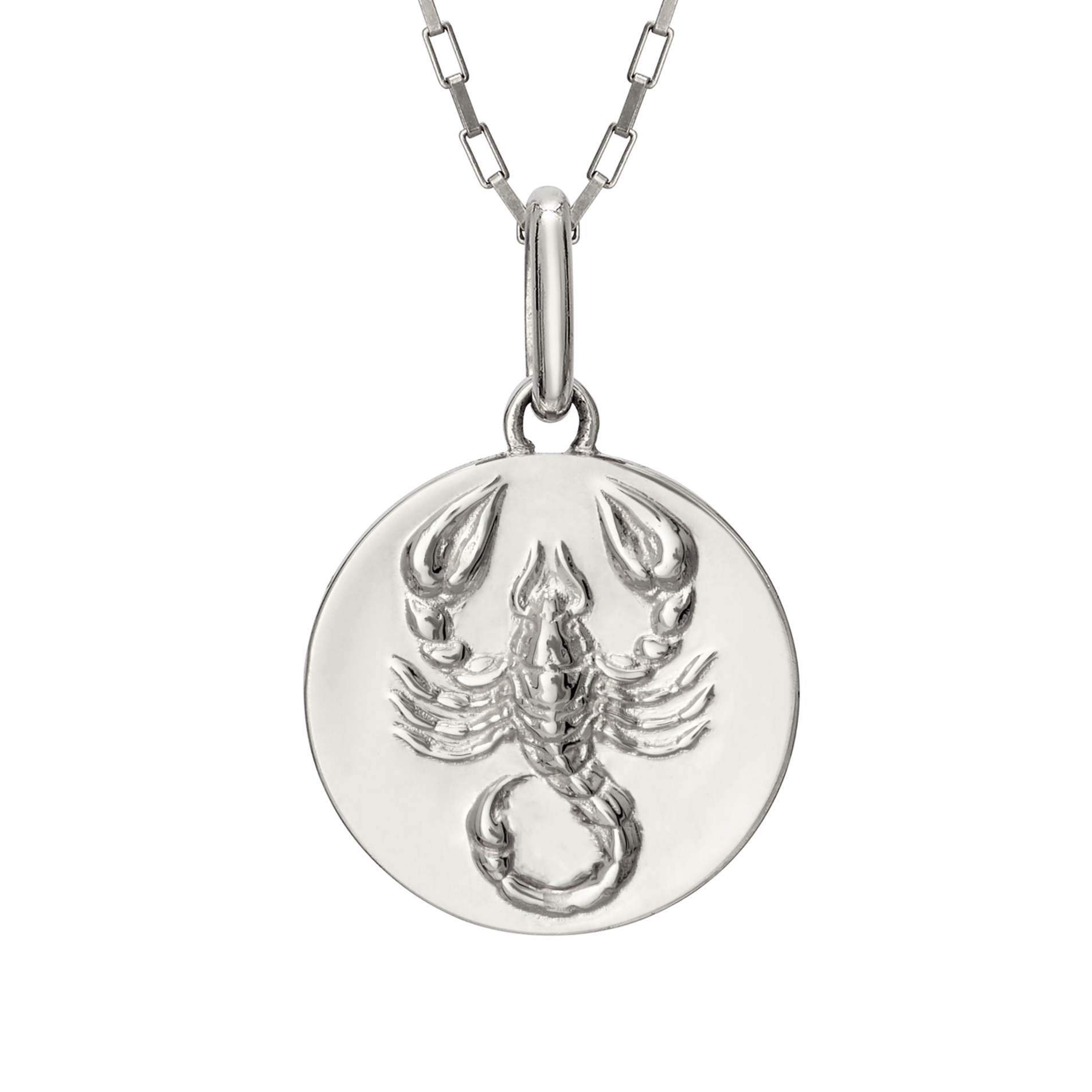 Scorpion necklace scorpio // silver