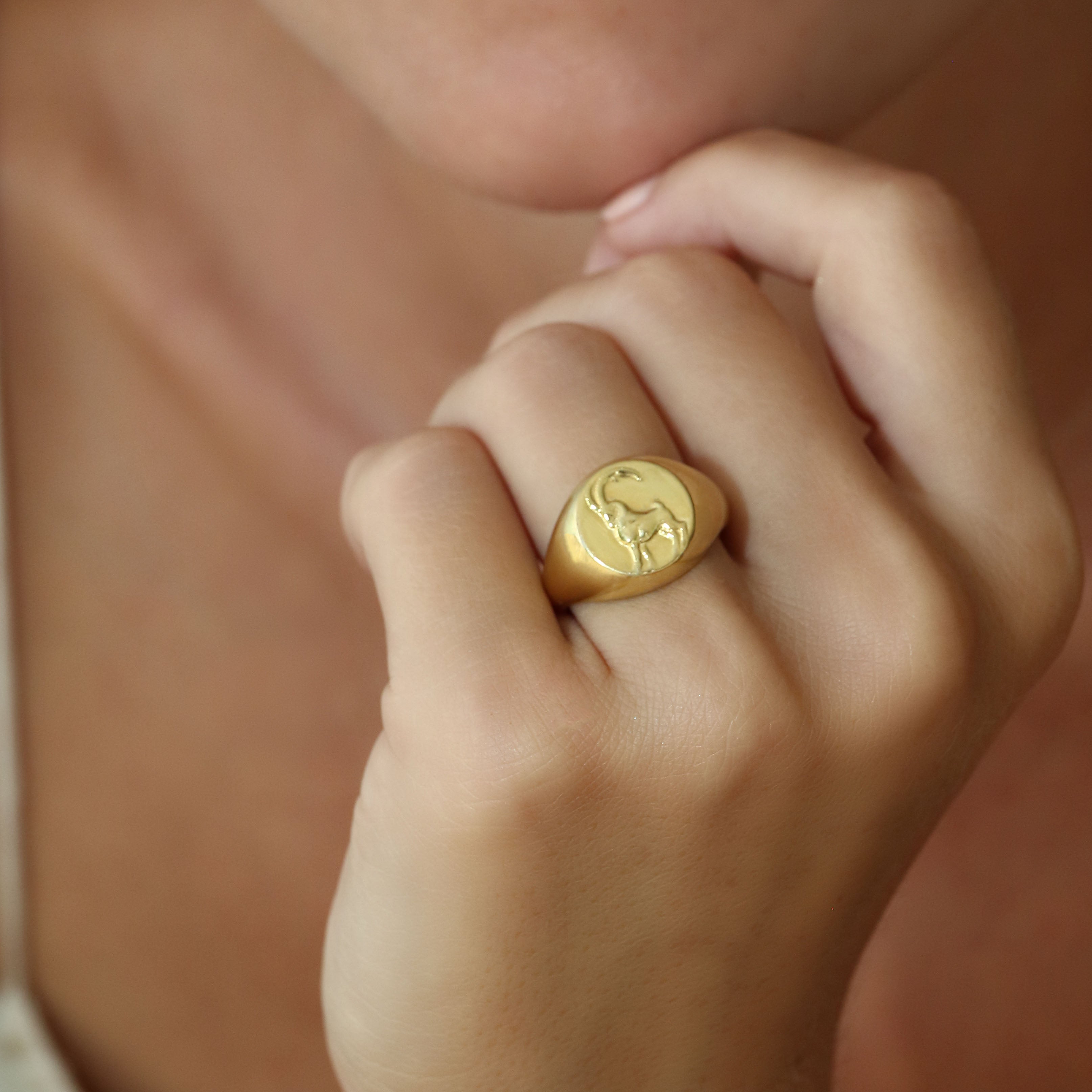 Signet ring capricorn // Gold