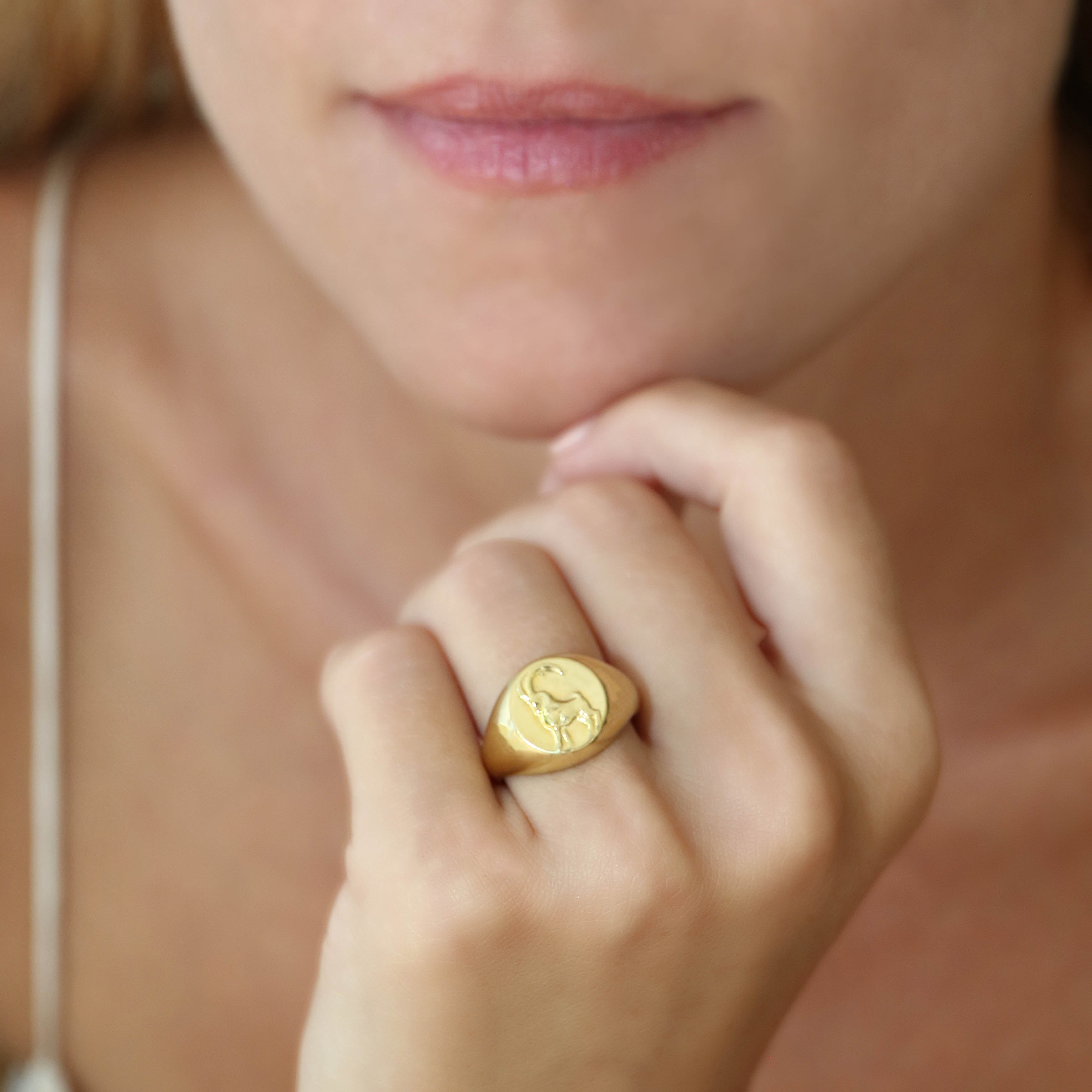 Signet ring capricorn // Gold