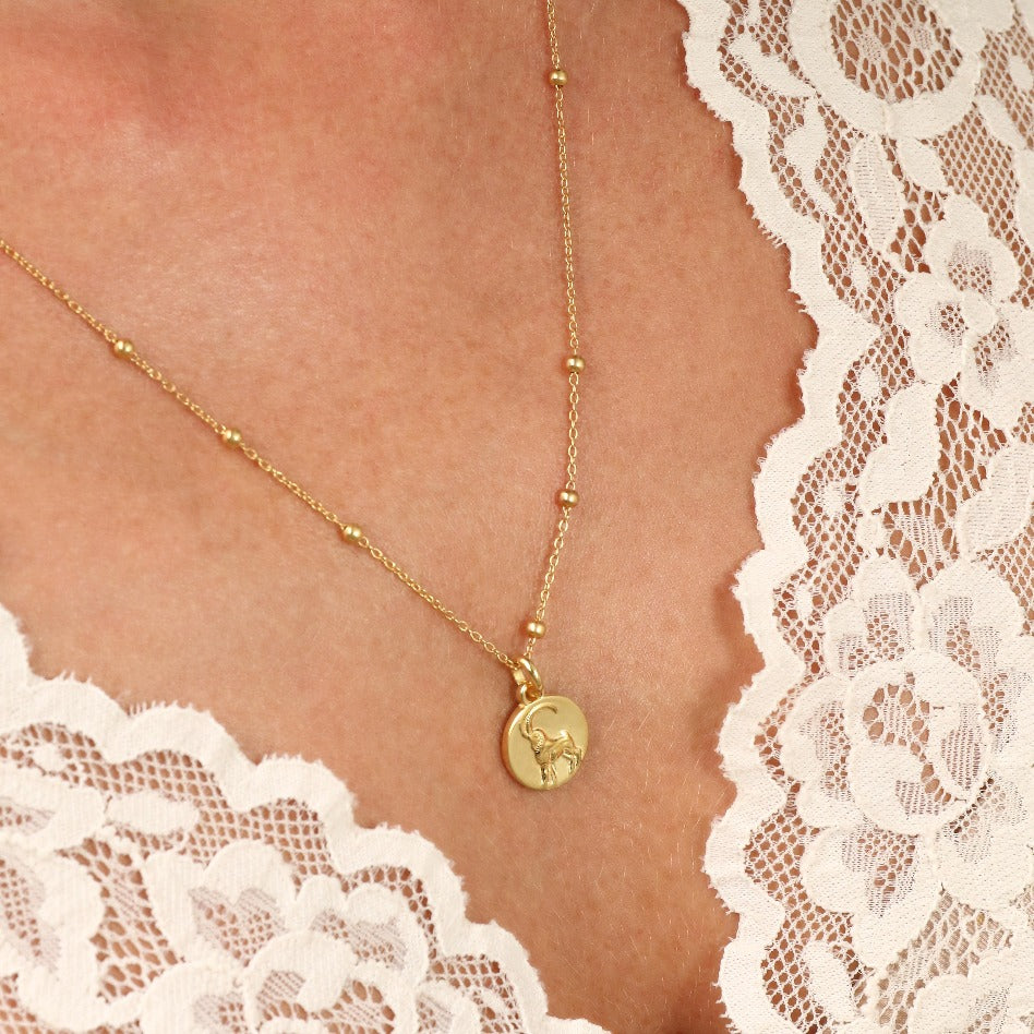 capricorn dainty necklace // gold