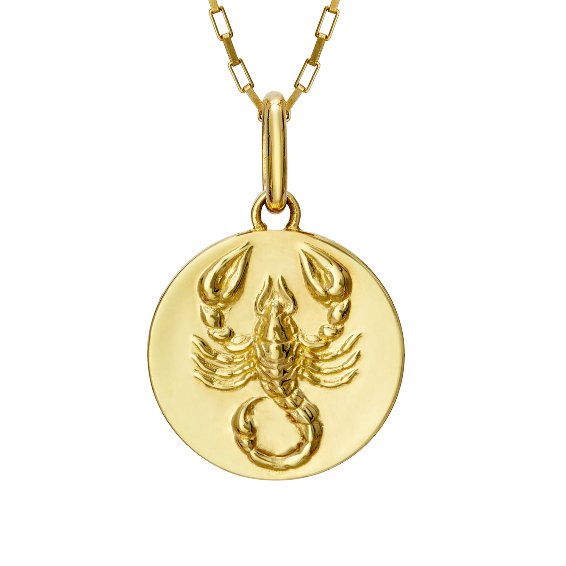 Scorpion necklace scorpio // gold